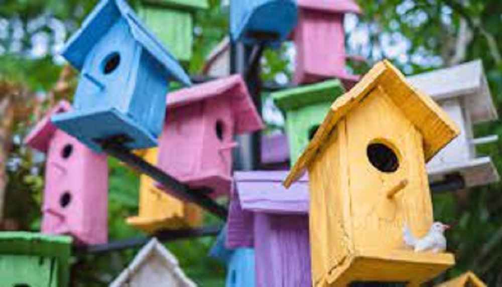 Is Acrylic Paint Safe For Birds?